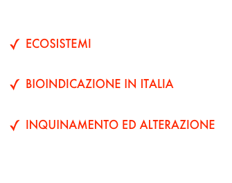 AREE TEMATICHE
ECOSISTEMI
BIOINDICATORI 
BIOINDICAZIONE IN ITALIA
LICHENI E MACROINVERTEBRATI
INQUINAMENTO ED ALTERAZIONE
ANALISI ED INTERPRETAZIONE DEI RISULTATI