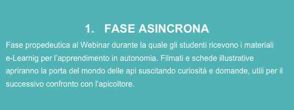 1.   FASE ASINCRONA
Fase propedeutica al Webinar durante la quale gli studenti ricevono i materiali 
e-Learnig per l’apprendimento in autonomia. Filmati e schede illustrative apriranno la porta del mondo delle api suscitando curiosità e domande, utili per il successivo confronto con l’apicoltore.