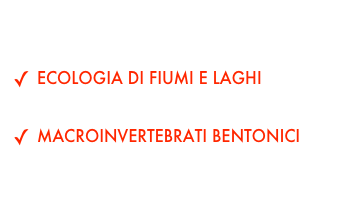 AREE TEMATICHE
ECOLOGIA DI FIUMI E LAGHIBIOMONITORAGGIO
MACROINVERTEBRATI BENTONICI
VALUTAZIONE  IMPATTO ANTROPICO 
