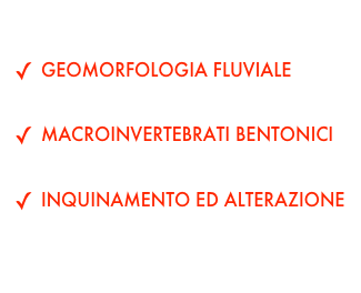 AREE TEMATICHE
GEOMORFOLOGIA FLUVIALEIL FIUME COME ECOSISTEMA
MACROINVERTEBRATI BENTONICI
BIOMONITORAGGIO
INQUINAMENTO ED ALTERAZIONE
ANALISI ED INTERPRETAZIONE DEI RISULTATI
