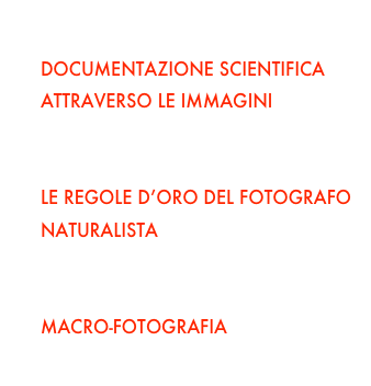 I TEMI AFFRONTATI
DOCUMENTAZIONE SCIENTIFICA ATTRAVERSO LE IMMAGINI
LA MACCHINA FOTOGRAFICA E L’OCCHIO: SISTEMI A CONFRONTO
LE REGOLE D’ORO DEL FOTOGRAFO NATURALISTA
INQUADRATURA, ILLUMINAZIONE, PROFONDITA’ DI CAMPO
MACRO-FOTOGRAFIA
ELABORAZIONE POST-PRODUZIONE