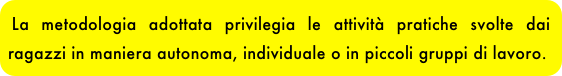 La metodologia adottata privilegia le attività pratiche svolte dai ragazzi in maniera autonoma, individuale o in piccoli gruppi di lavoro.