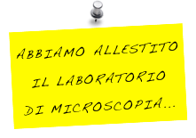 ABBIAMO ALLESTITO IL LABORATORIO
DI MICROSCOPIA...