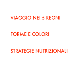 AREE TEMATICHE
VIAGGIO NEI 5 REGNI
STRATEGIE RIPRODUTTIVE
FORME E COLORI
RELAZIONI
STRATEGIE NUTRIZIONALI