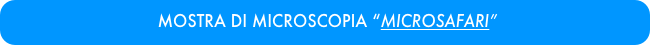  MOSTRA DI MICROSCOPIA “MICROSAFARI”