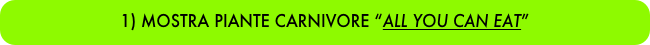 1) MOSTRA PIANTE CARNIVORE “ALL YOU CAN EAT”