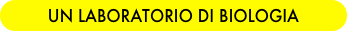 UN LABORATORIO DI BIOLOGIA