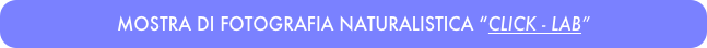 MOSTRA DI FOTOGRAFIA NATURALISTICA “CLICK - LAB”